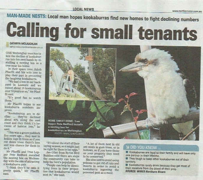 Northern star kooka story