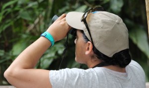 Birdwatching IMG_8499 cropped