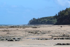 Captain Billy's Landing